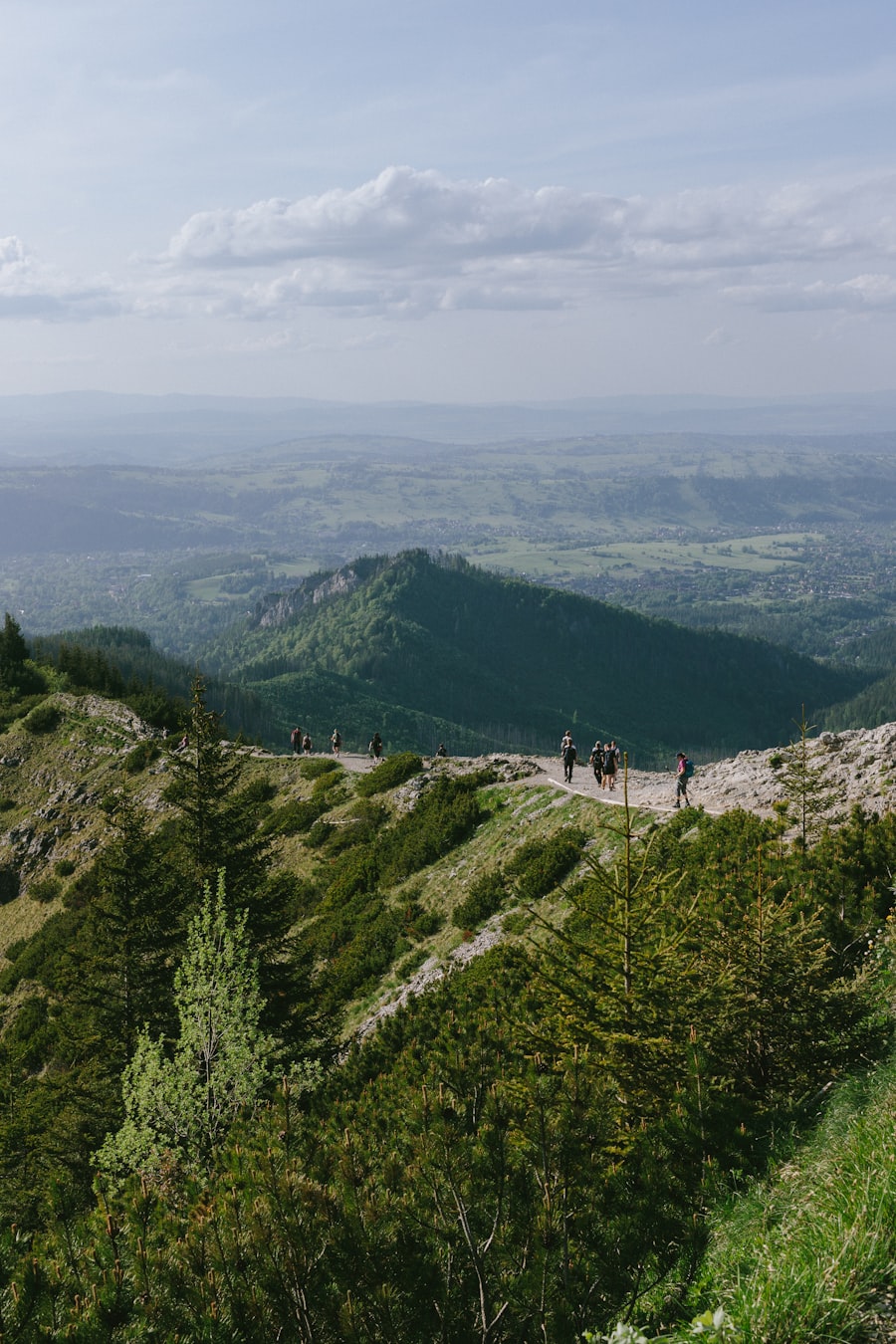 Hikers following a trail above a mountain valley